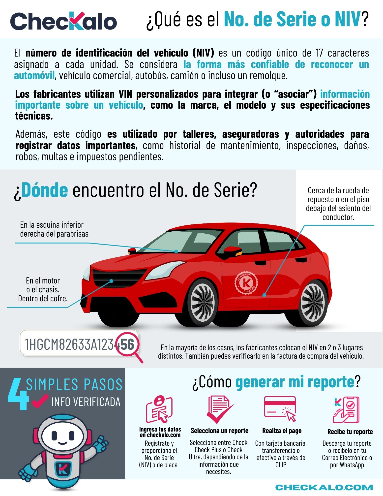 NIV o Número de Serie